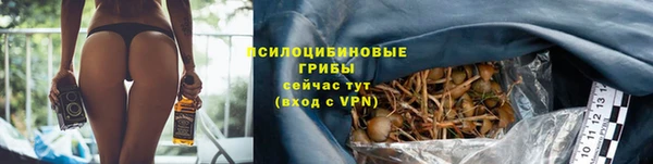 хмурый Белоозёрский