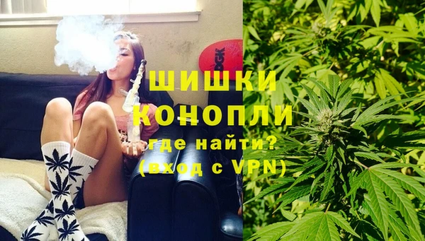 ГАЛЛЮЦИНОГЕННЫЕ ГРИБЫ Балабаново