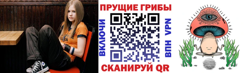 Галлюциногенные грибы мицелий  OMG зеркало  Называевск  хочу  